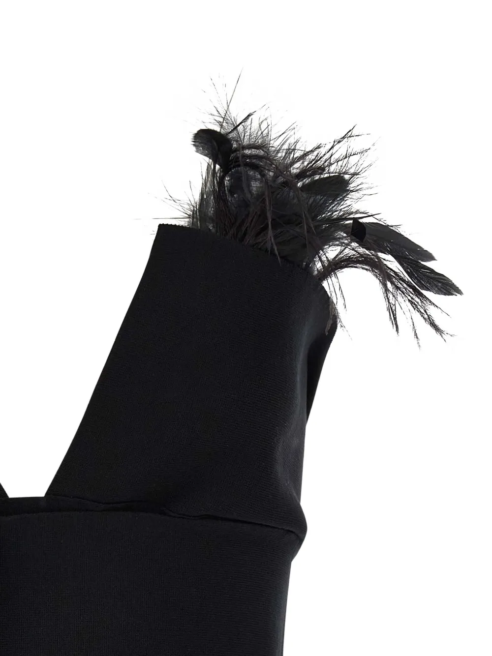 Alberta Ferretti Top met veren strik Zwart