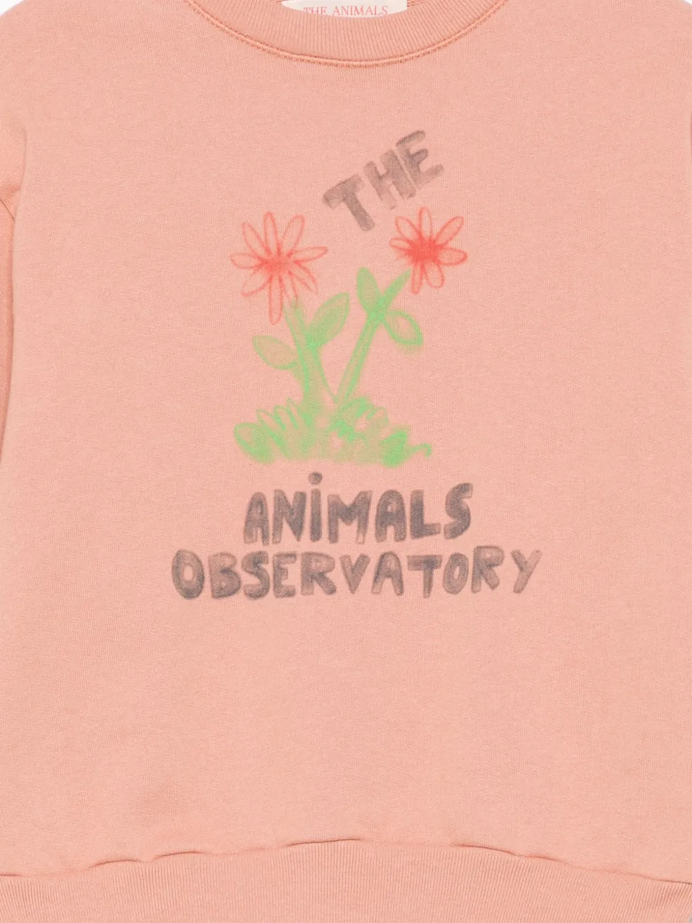 The Animals Observatory Graphic-print Sweatshirt In Brown