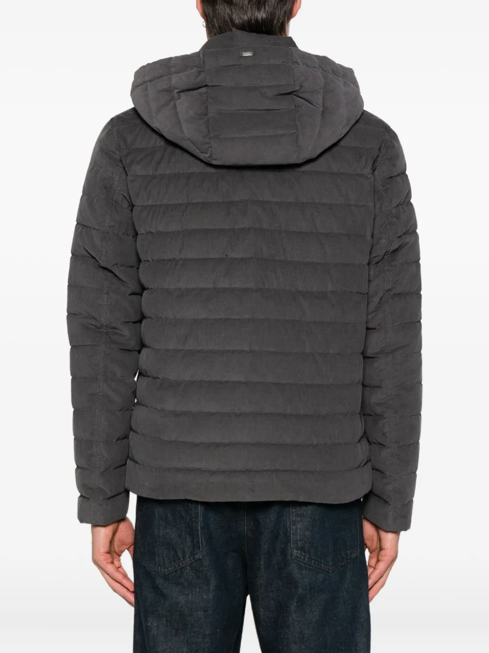 Herno Gevoerd jack met capuchon Grijs
