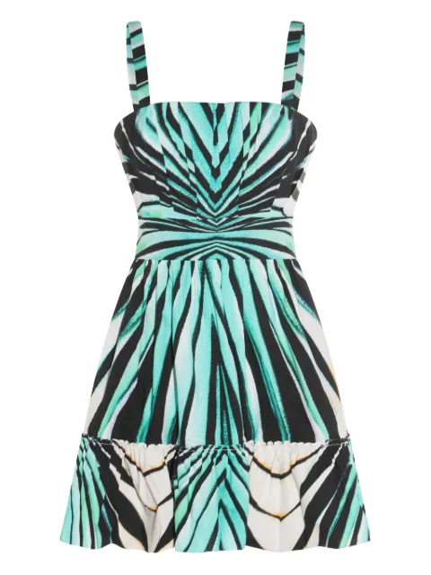 Roberto Cavalli zebra-print skater dress