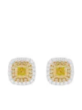 HYT Jewelry 18K white gold stud diamond earrings - Yellow