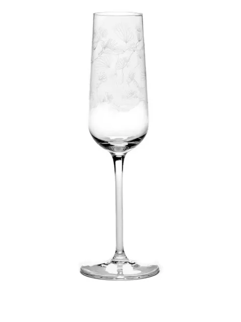 Serax etched-floral champagne flute