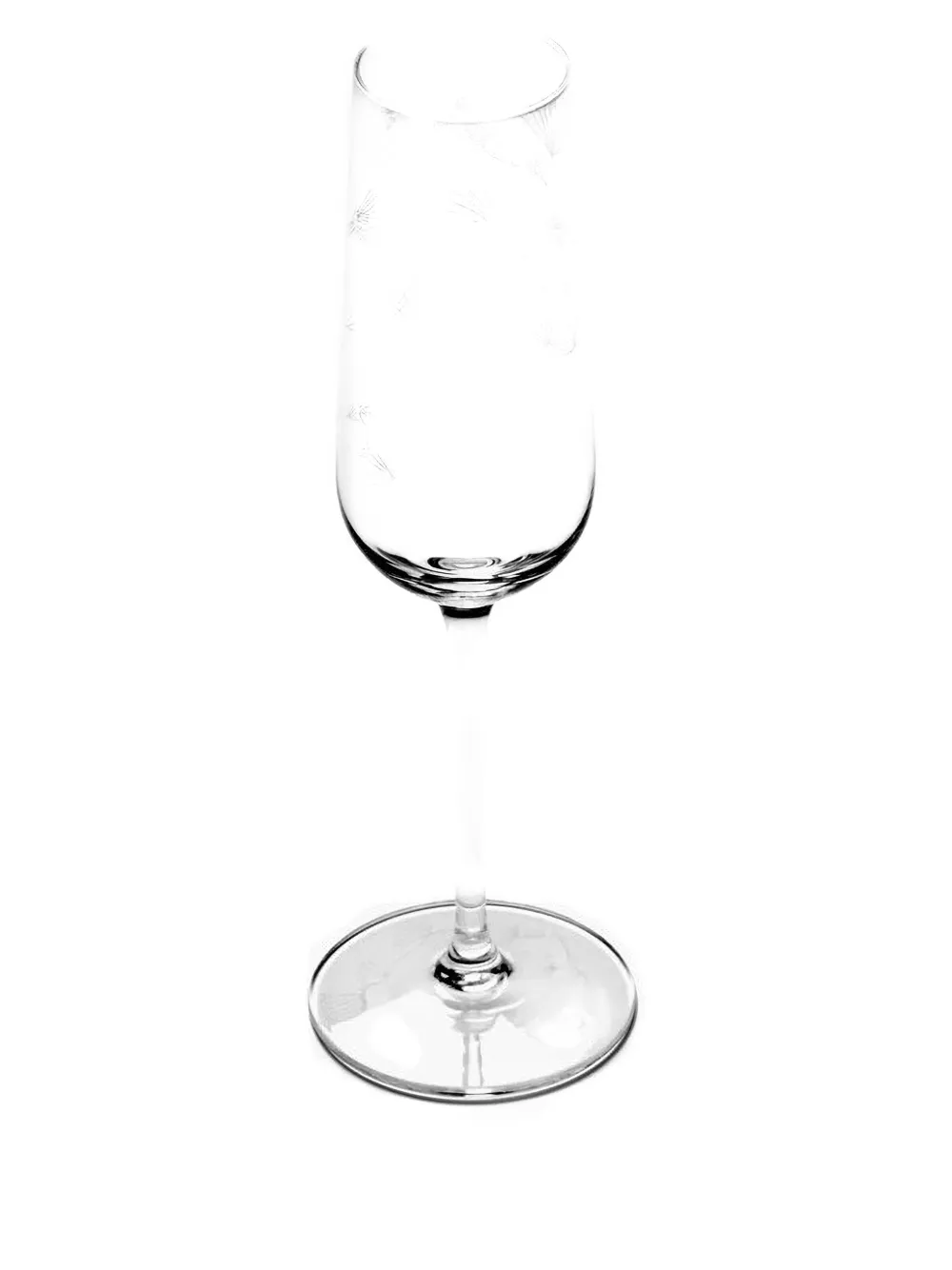 Serax Etched-floral Champagne Flute In Transparent