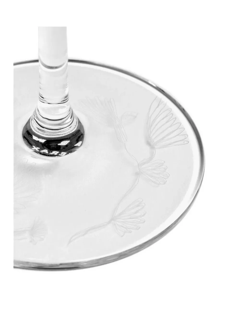 Serax Etched-floral Champagne Flute In Transparent