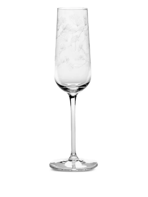 Serax etched-floral champagne flute