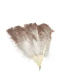 Vintage 1920s feather fan - Brown