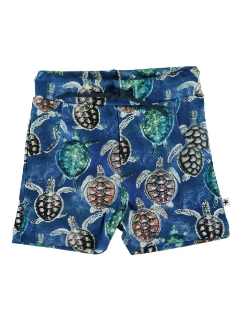 Molo turtle-print shorts
