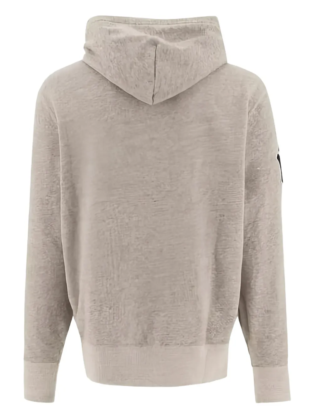 Polo Ralph Lauren Hoodie met patch Grijs