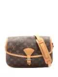Louis Vuitton Pre-Owned 2010 Sologne shoulder bag - Brown