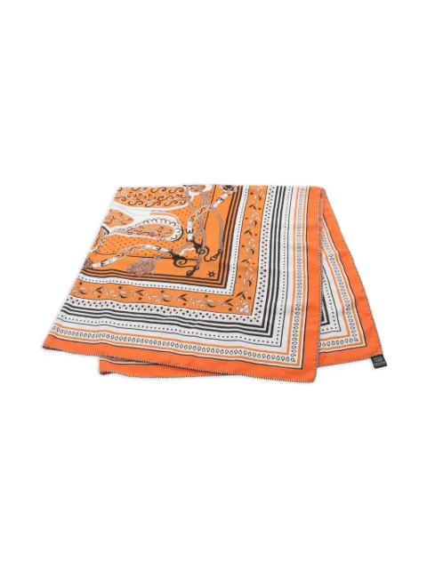 Hermès Pre-Owned 2010s graphic-print scarf 