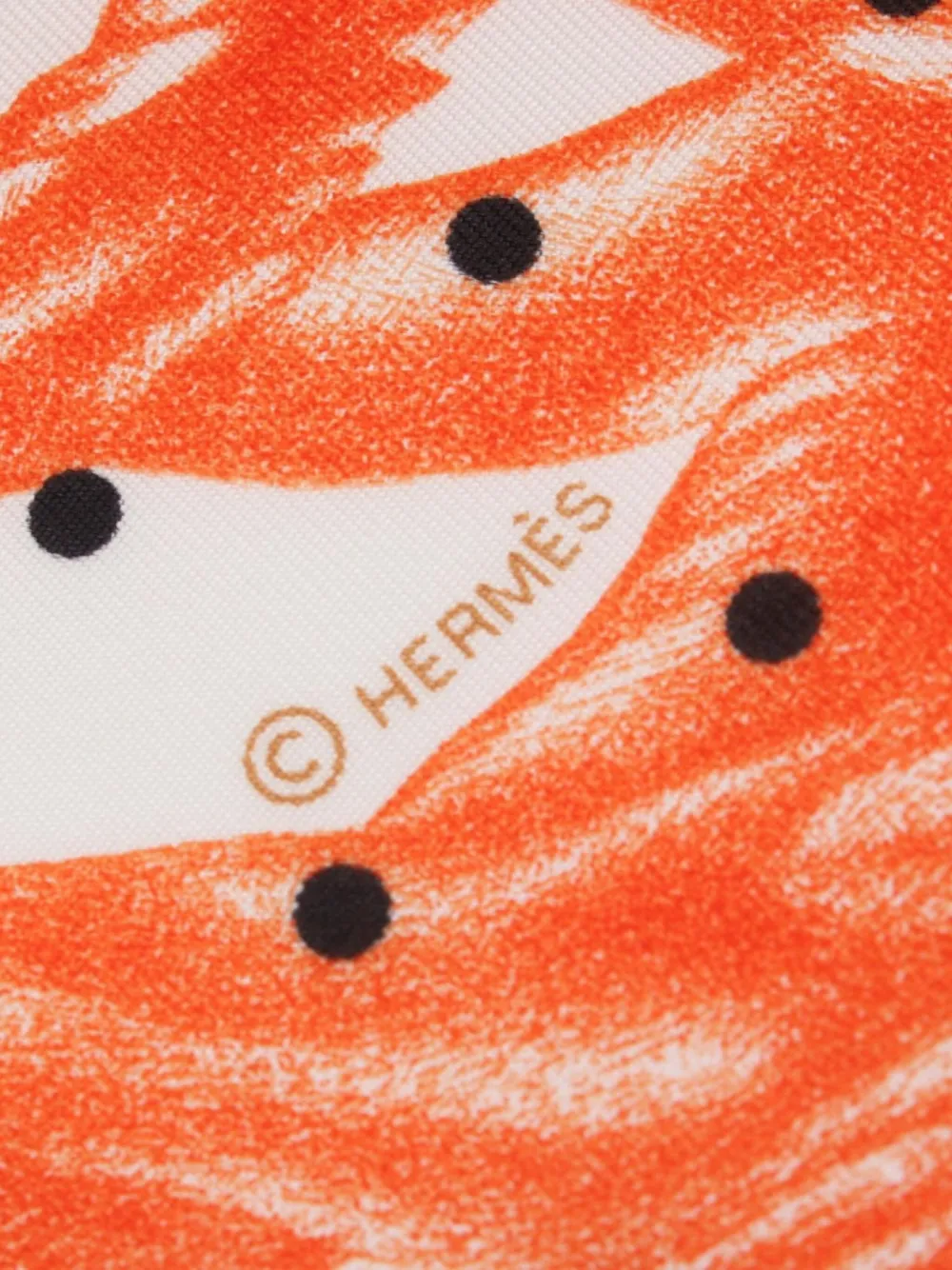 Hermès Pre-Owned mascada de seda Plumets Et Panaches 2010 | Image 2