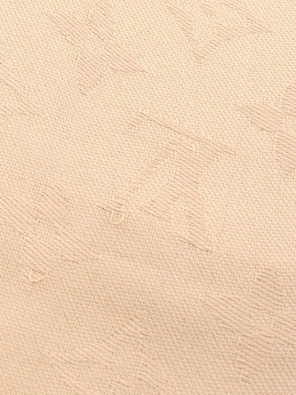 Louis Vuitton Pre-Owned Monogram sjal från 2000-talet | Image 2