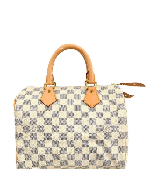 Louis Vuitton Pre-Owned 2010 Speedy 25 handbag 