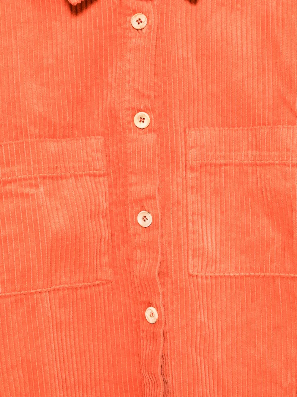 The Animals Observatory Corduroy Jacket In Red