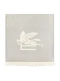 ETRO embroidered scarf - Grey