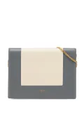 Céline Pre-Owned 2017 Leather Frame Wallet on Chain crossbody bag - Grey