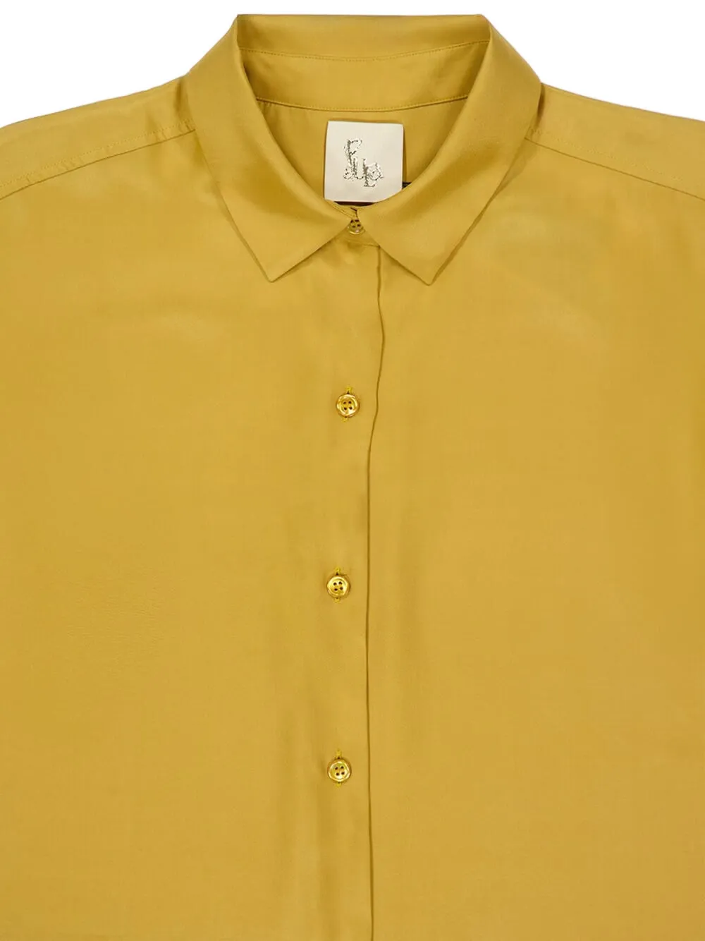 Paula Long-sleeve Button-fastening Shirt In Green