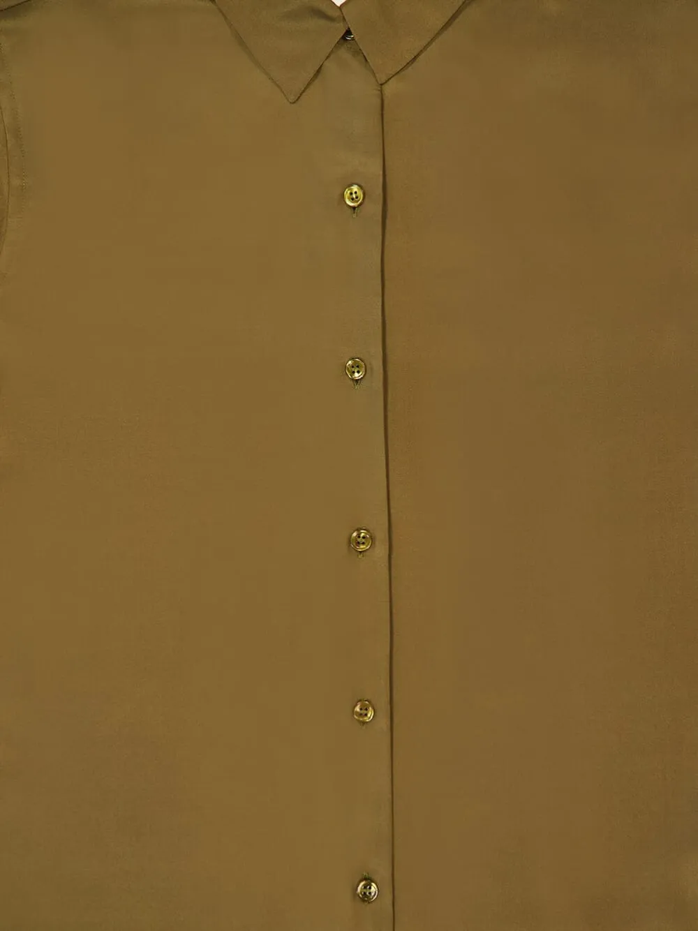  Paula Camisa De Seda - Verde 