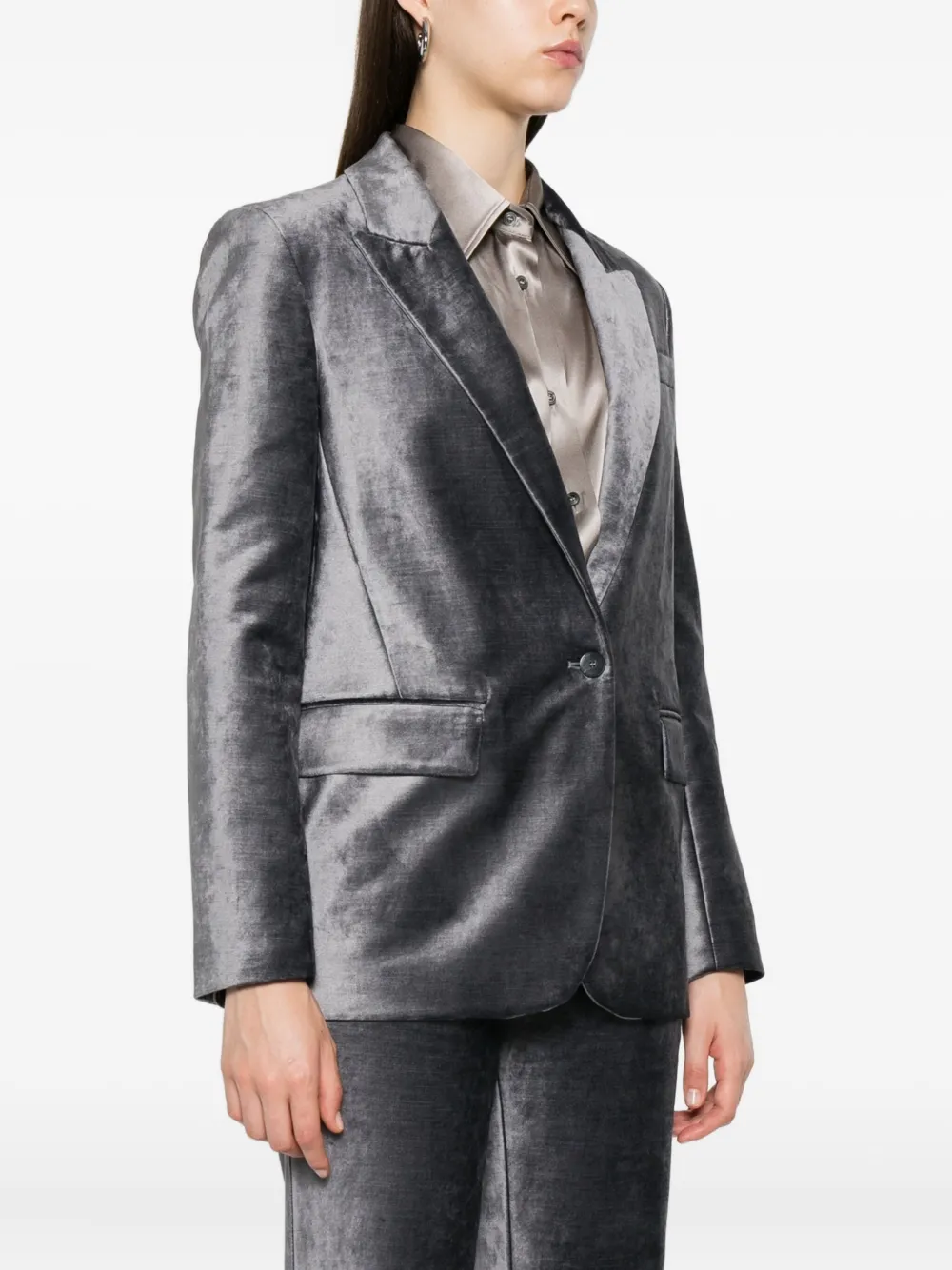 Forte Fluwelen blazer met enkele rij knopen Grijs