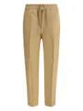 True Royal drawstring-zip trousers - Neutrals