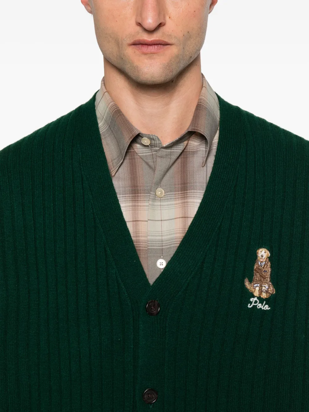 Polo Ralph Lauren Ribgebreid vest met polobeer Groen