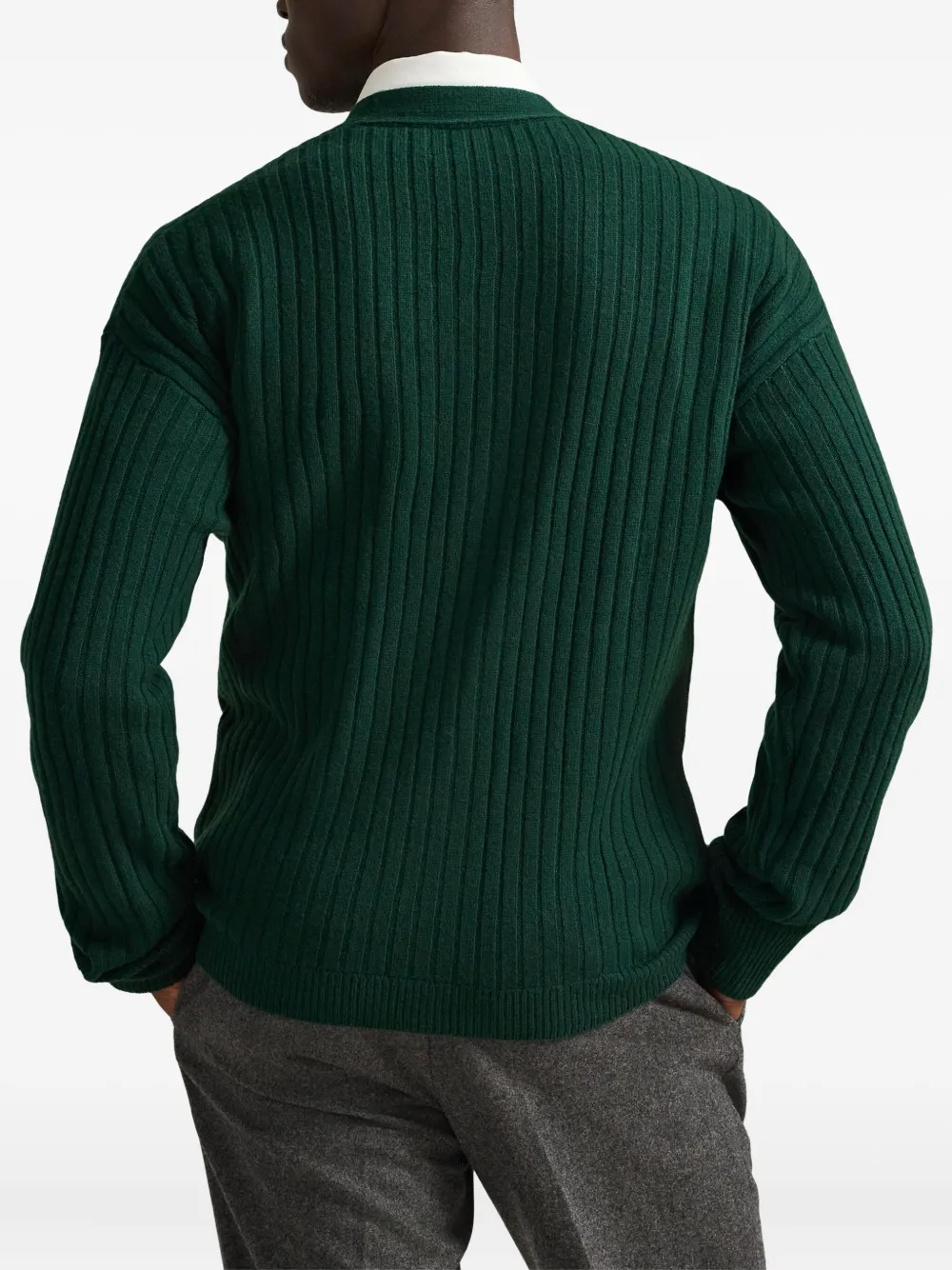 Polo Ralph Lauren Ribgebreid vest met polobeer Groen