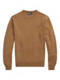 Polo Ralph Lauren crew-neck sweater - Brown