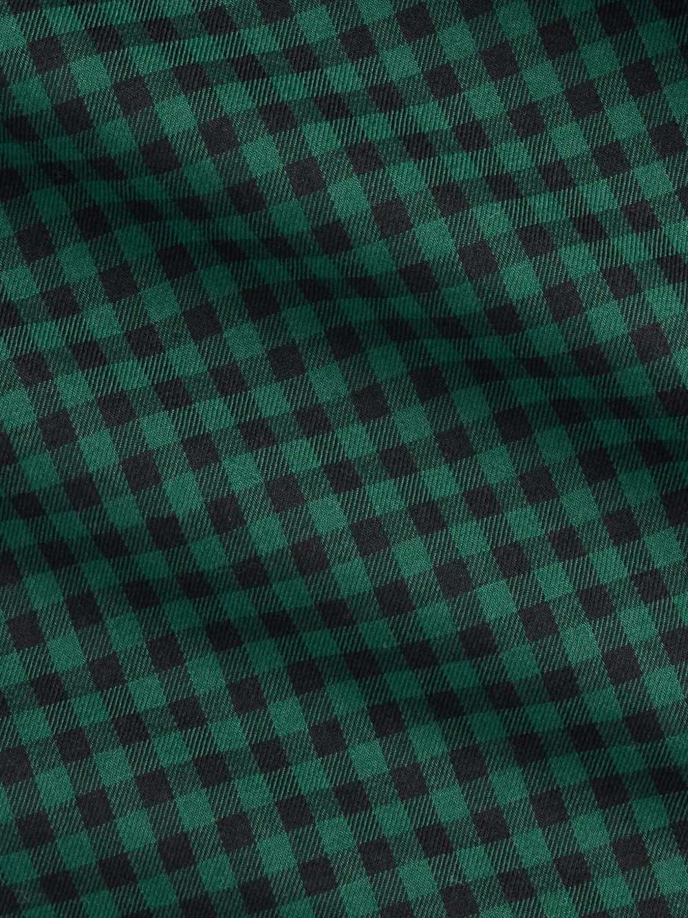 Polo Ralph Lauren Overhemd met gingham ruit Groen