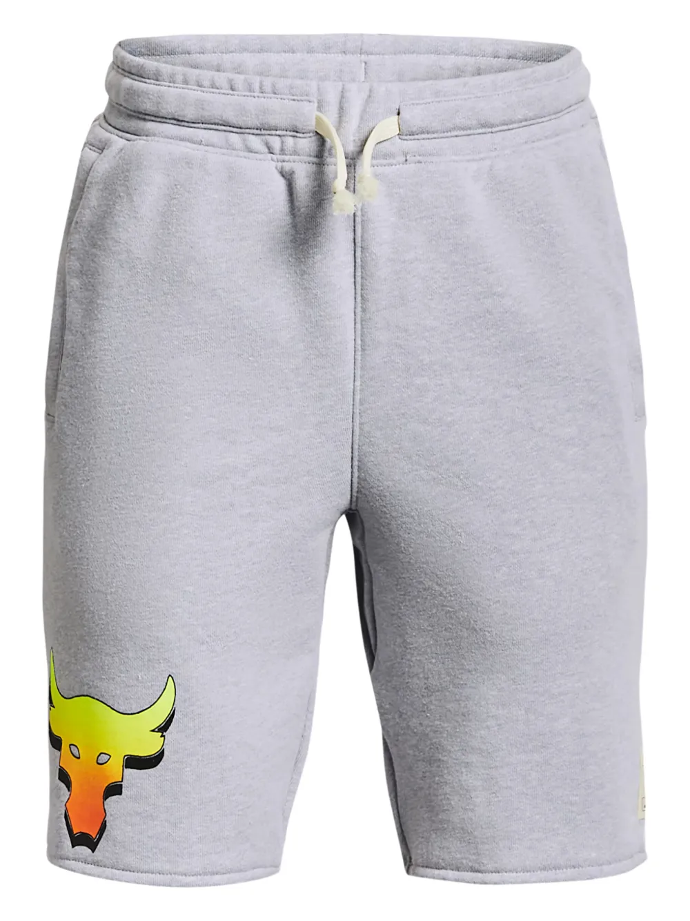 Under Armour UA Project Rock Terry shorts Grijs
