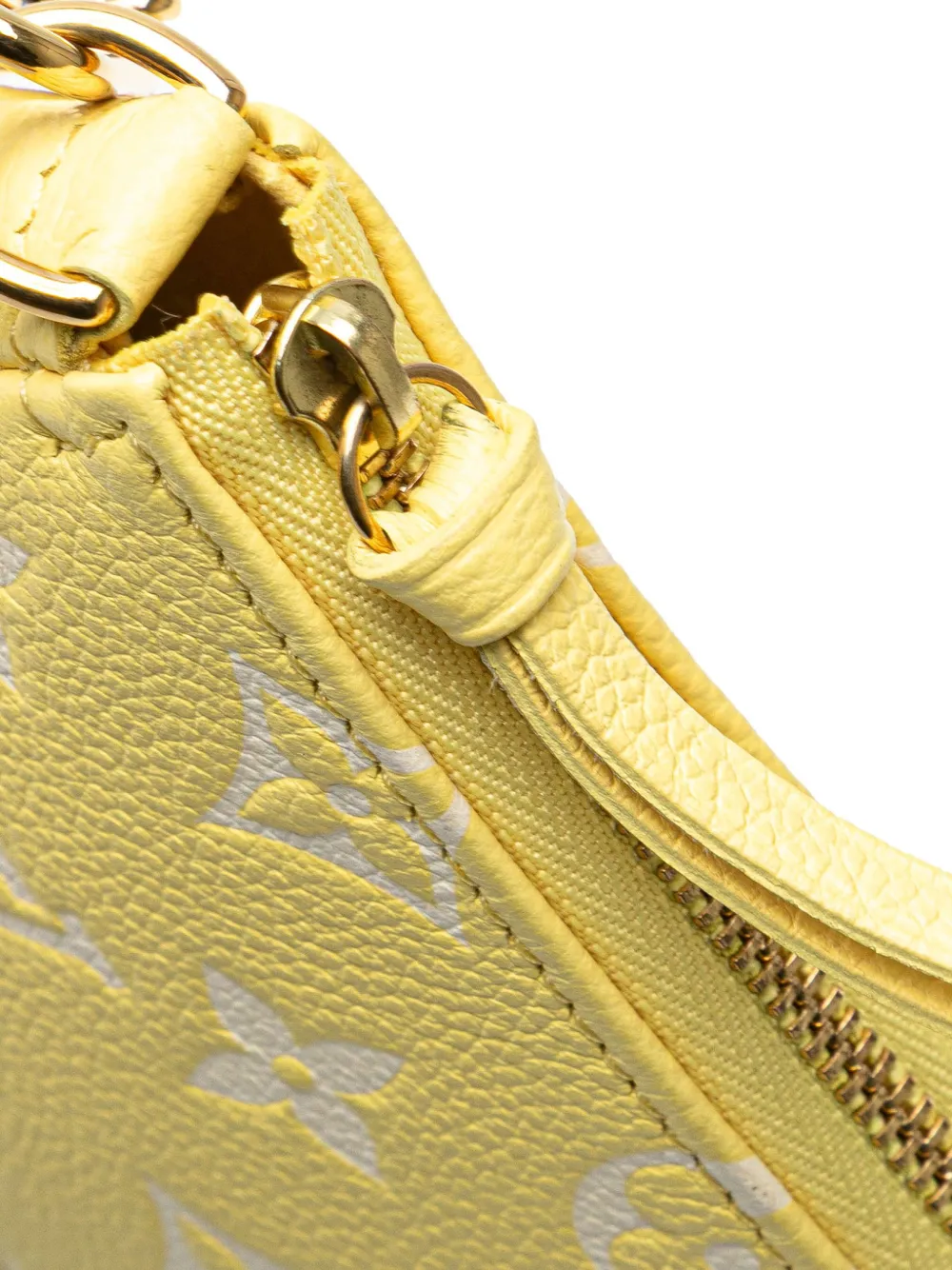 Louis Vuitton Pre-Owned 2021-2025 バイカラー モノグラム アン