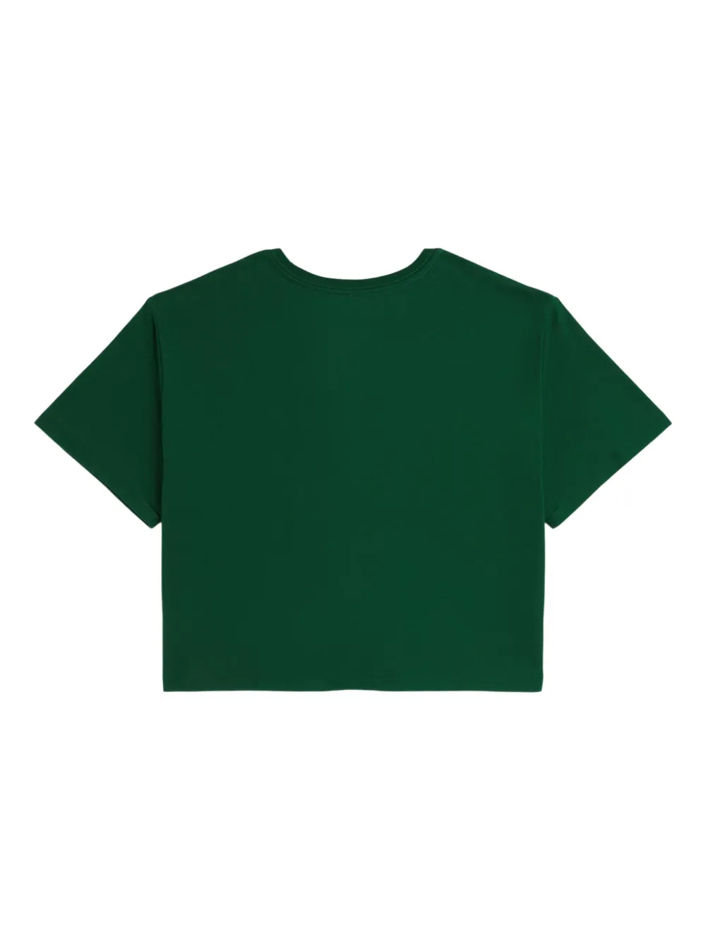 POLO RALPH LAUREN KIDS Cropped T-shirt met logoprint Groen