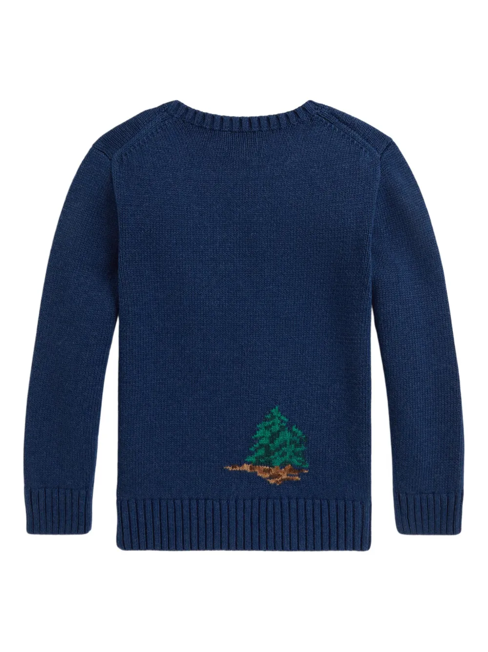 POLO RALPH LAUREN KIDS Sweater met ronde hals en lange mouwen Blauw