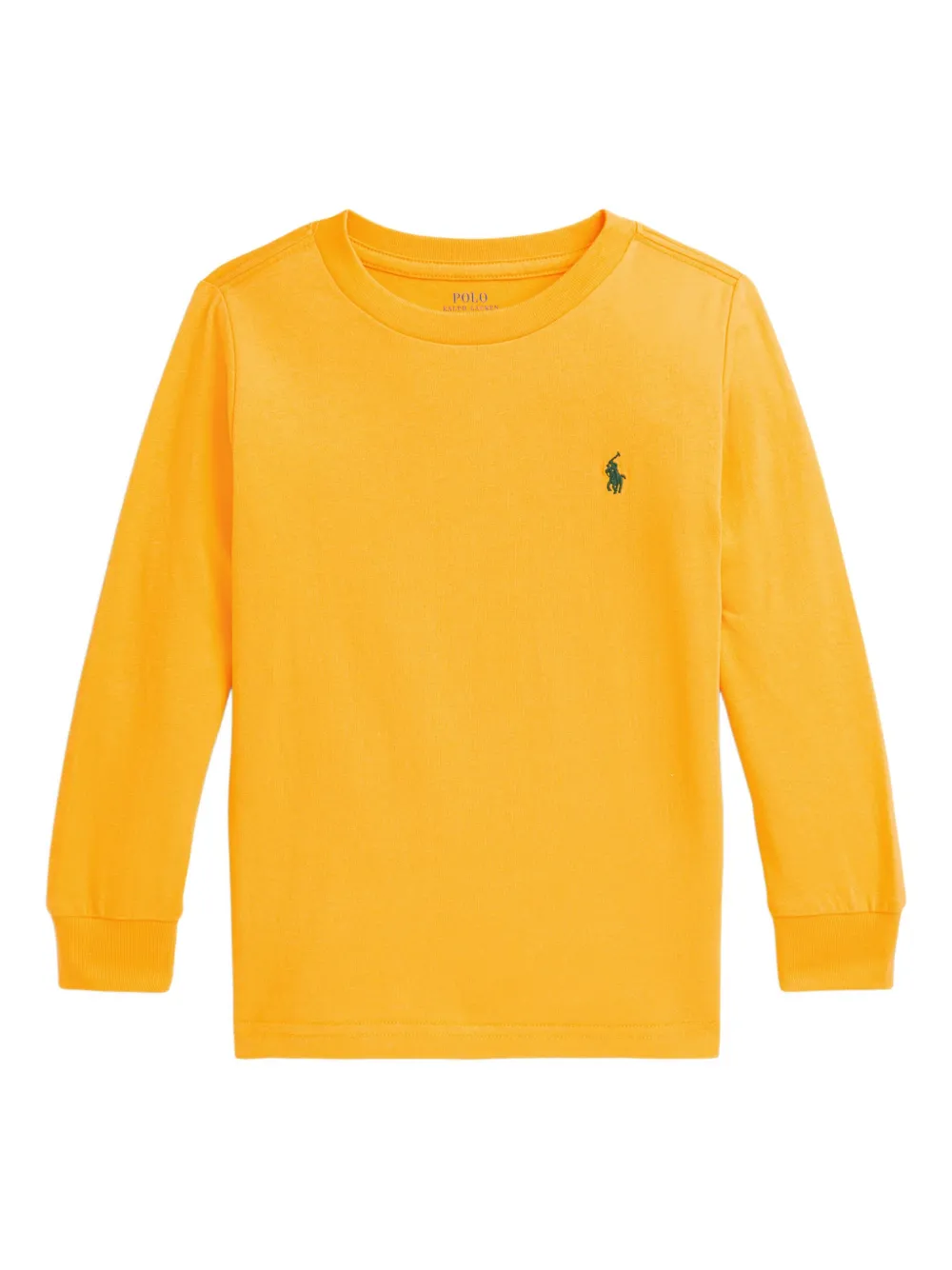 Polo Ralph Lauren Toddler And Little Boys Cotton Jersey Long-sleeve T-shirt In Yellow