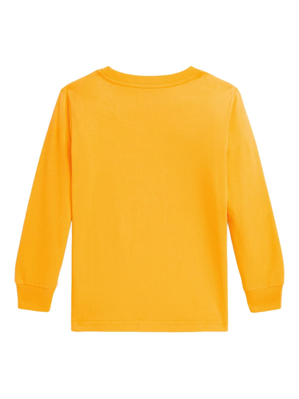 Polo Ralph Lauren Toddler And Little Boys Cotton Jersey Long-sleeve T-shirt In Yellow
