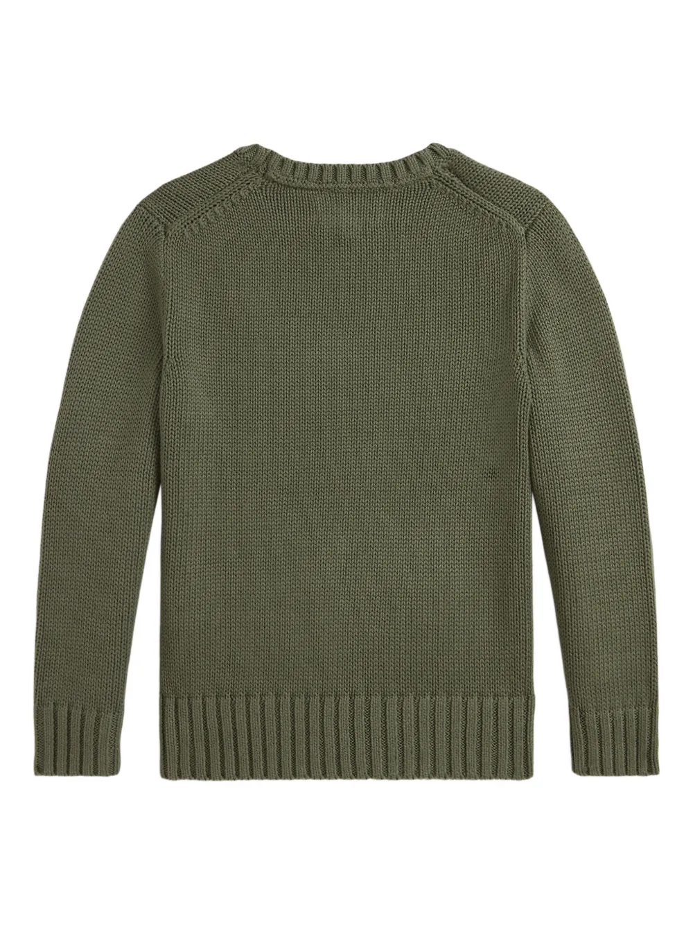 POLO RALPH LAUREN KIDS Trui met geribbelde ronde hals Groen