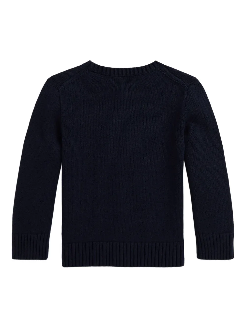 POLO RALPH LAUREN KIDS Gebreide trui met hondenpatroon Blauw