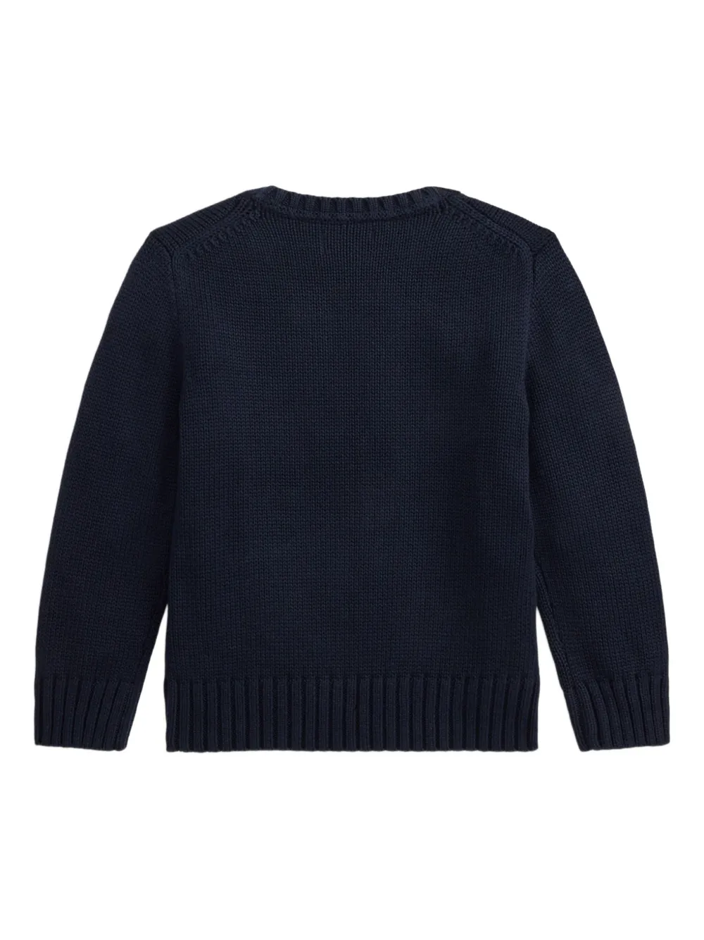 POLO RALPH LAUREN KIDS Katoenen trui met ronde hals Blauw