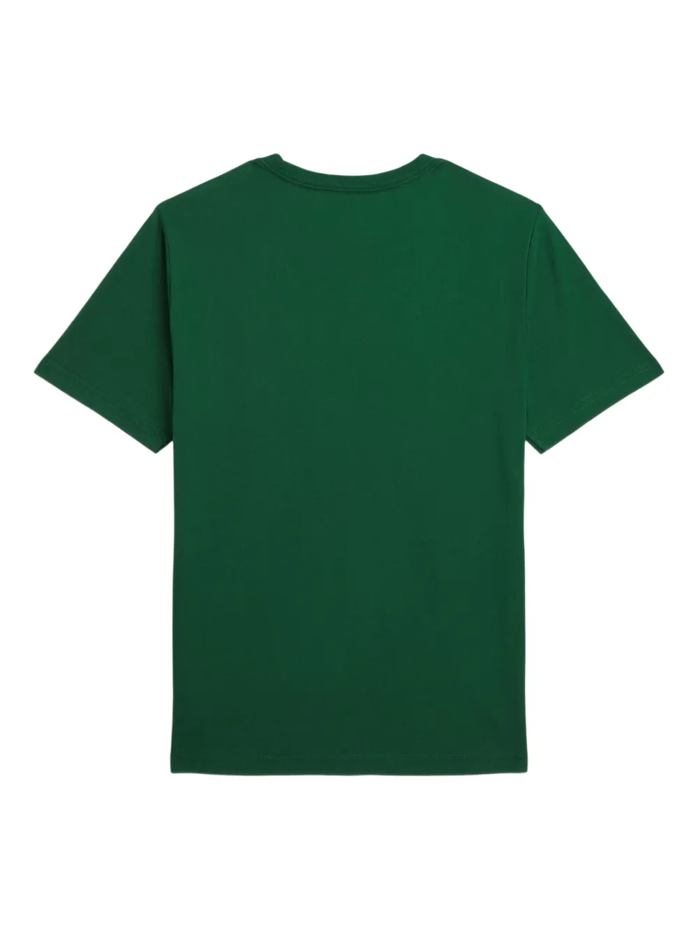 POLO RALPH LAUREN KIDS T-shirt met geborduurd logo Groen