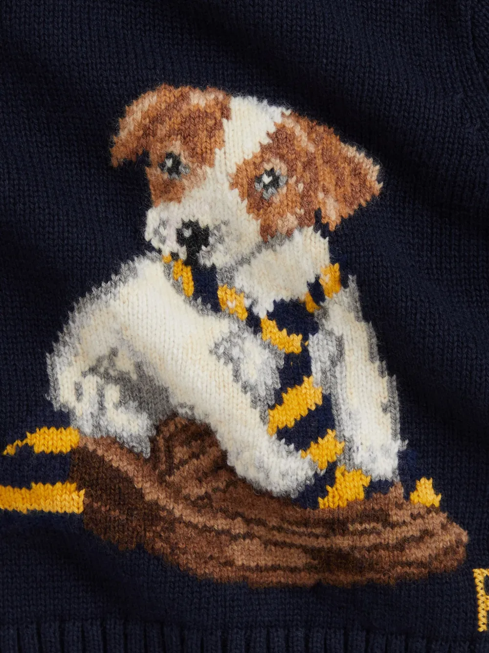 POLO RALPH LAUREN KIDS Gebreide trui met hondenpatroon Blauw