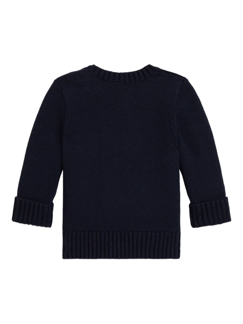POLO RALPH LAUREN KIDS Gebreide trui met hondenpatroon Blauw