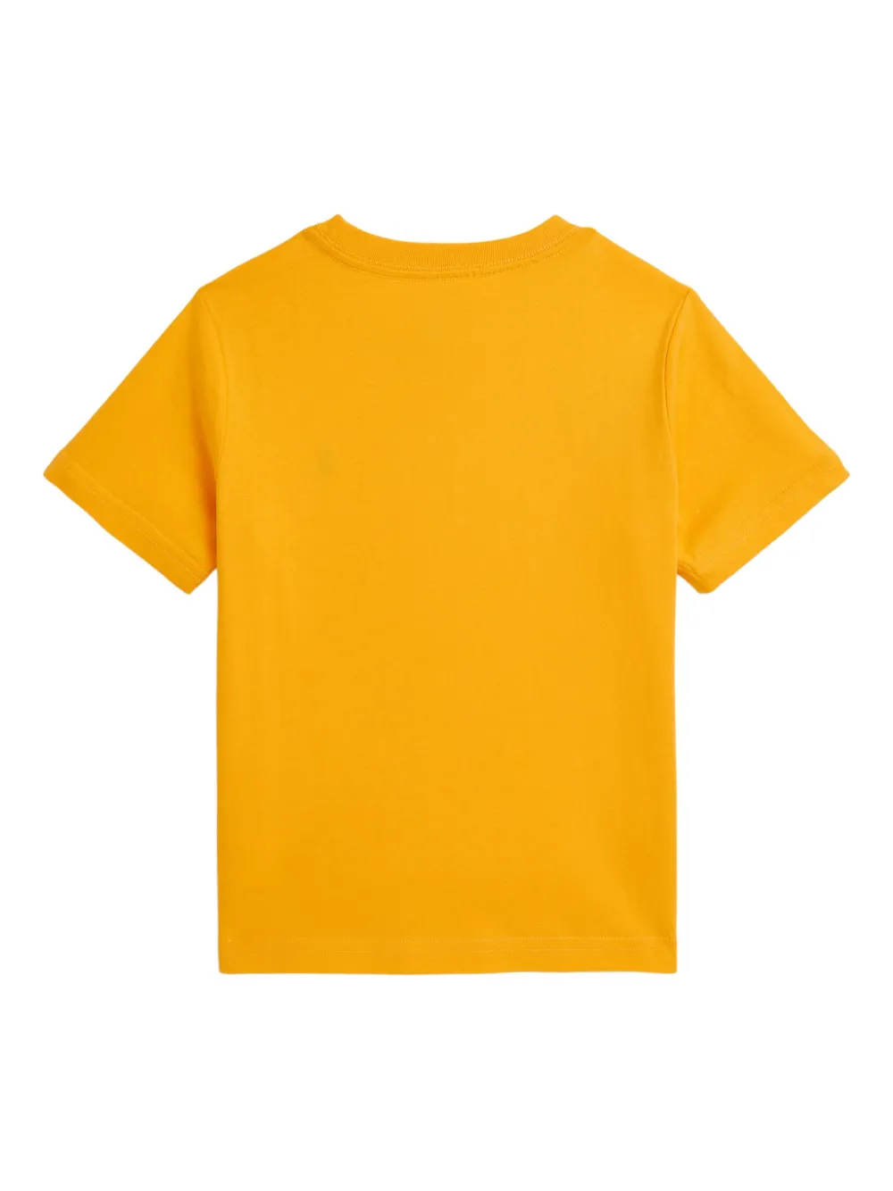 POLO RALPH LAUREN KIDS T-shirt met geborduurd logo Geel