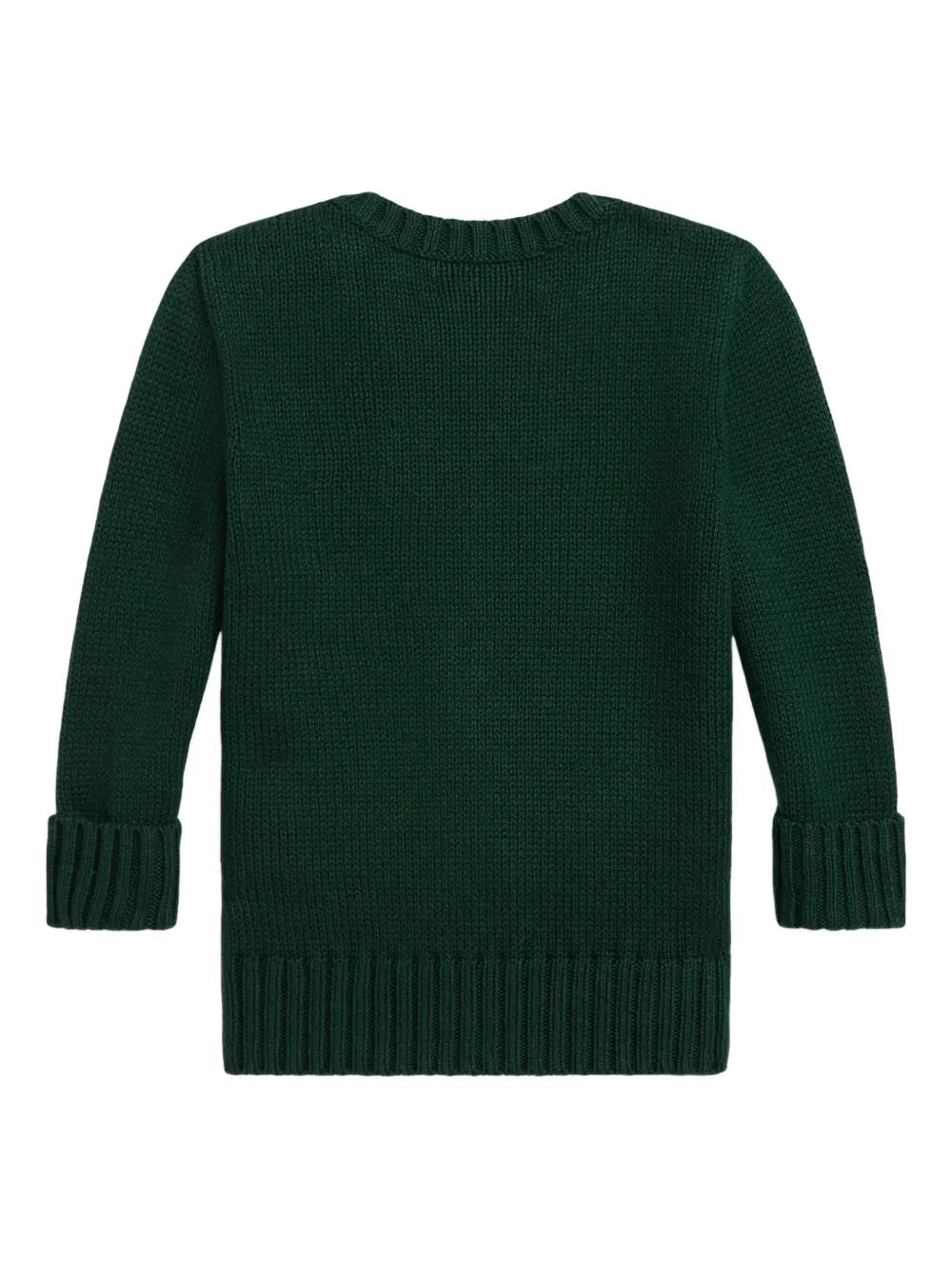 POLO RALPH LAUREN KIDS Gebreide trui met beerpatroon Groen