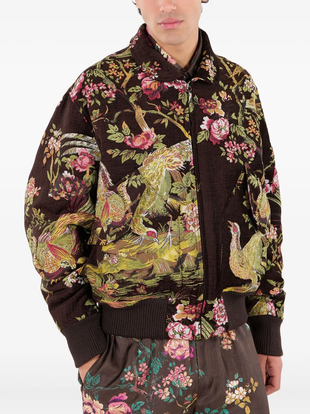 Roberto Cavalli Bomber Jacket With Natural Landscape In Brown
