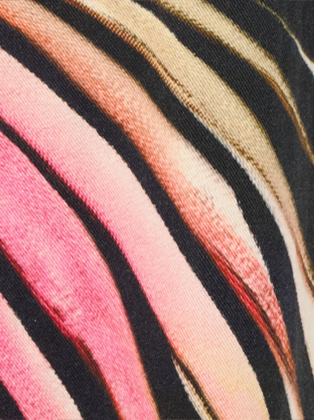 Roberto Cavalli Jeans With Ray Of Pink Print In Pink