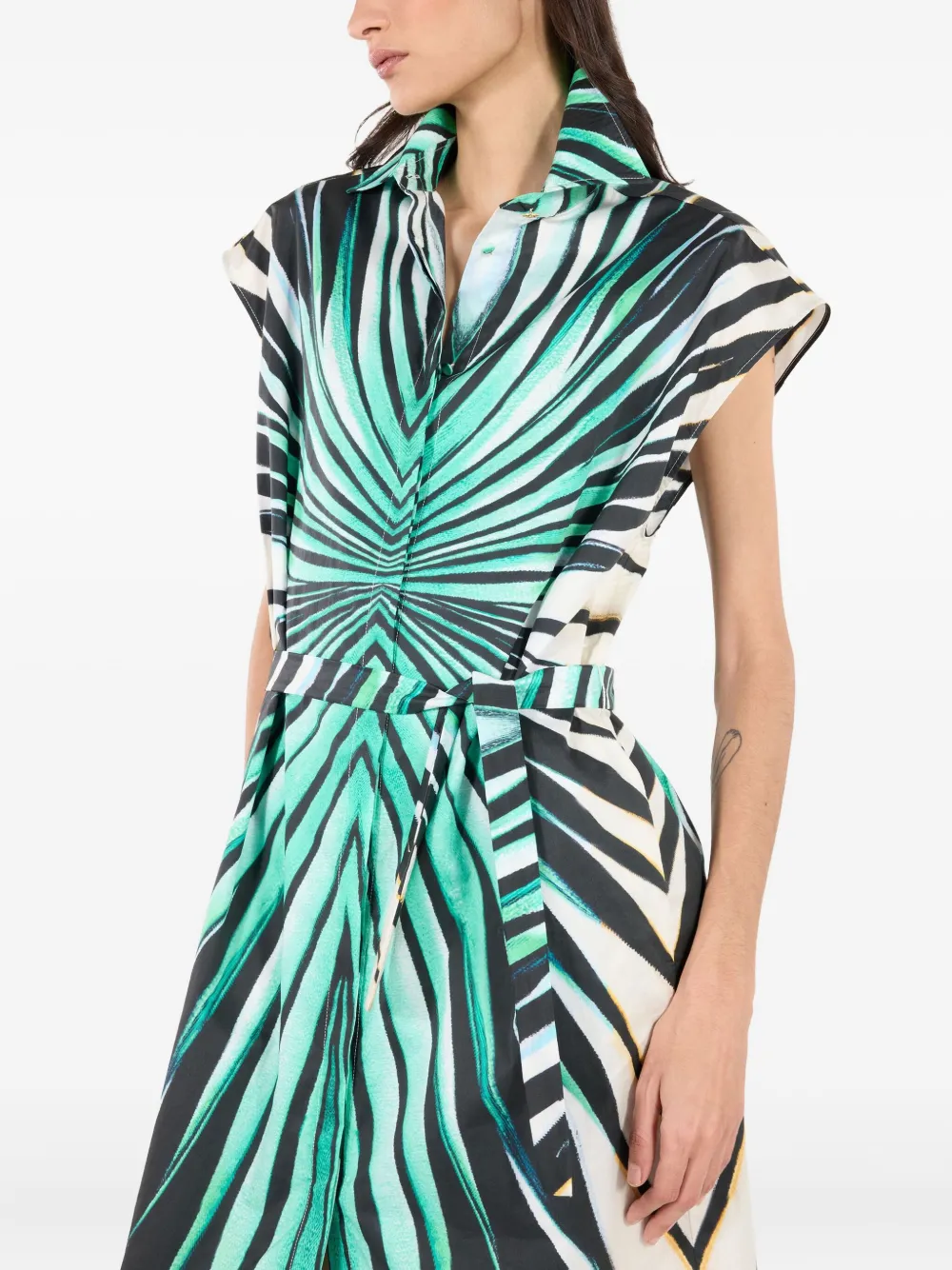 Roberto Cavalli Midi-jurk met print Blauw