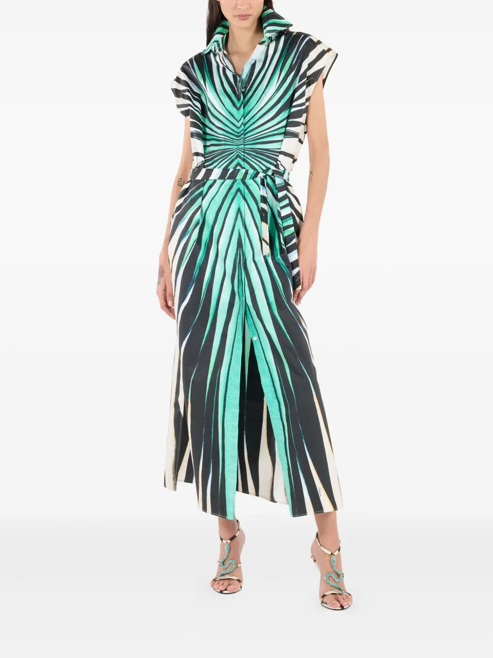 Roberto Cavalli Midi-jurk met print Blauw