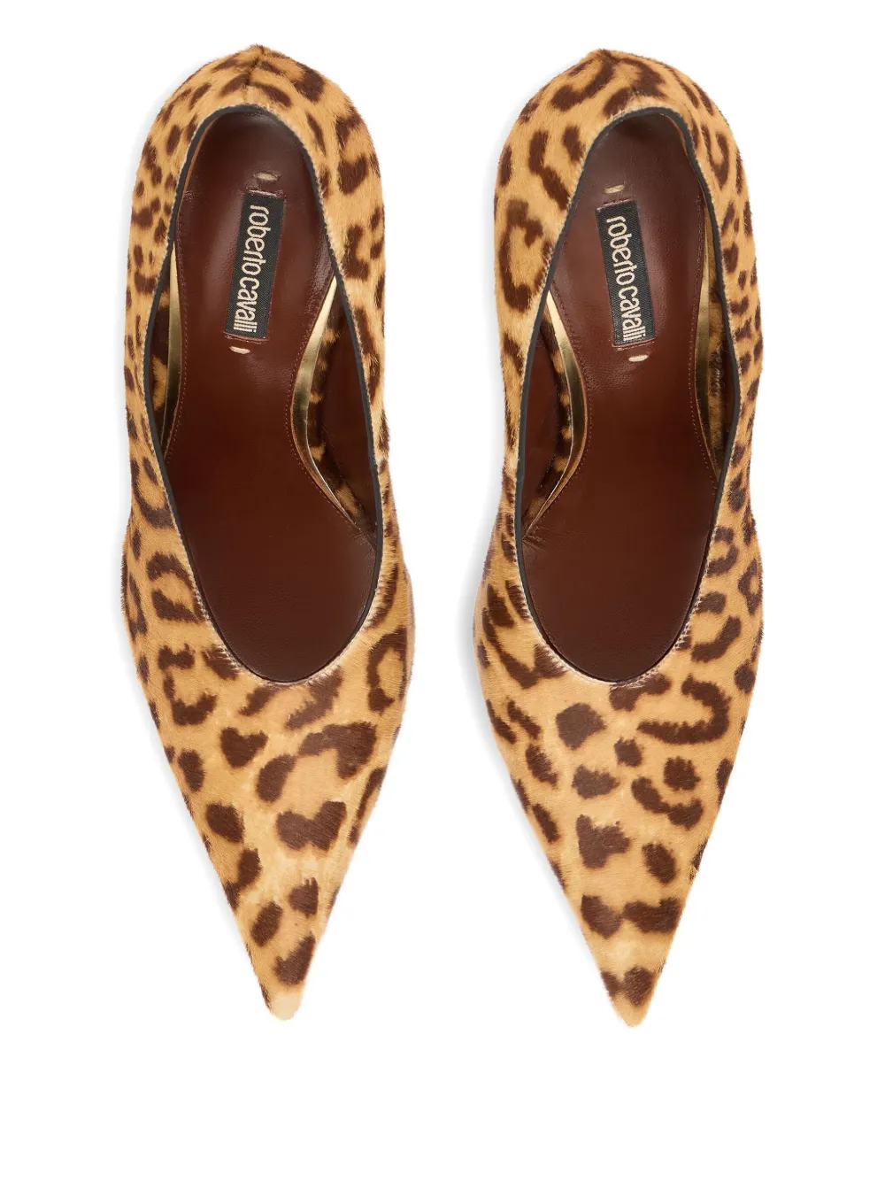 Roberto Cavalli Leopard-print Pointed-toe Pumps In Brown