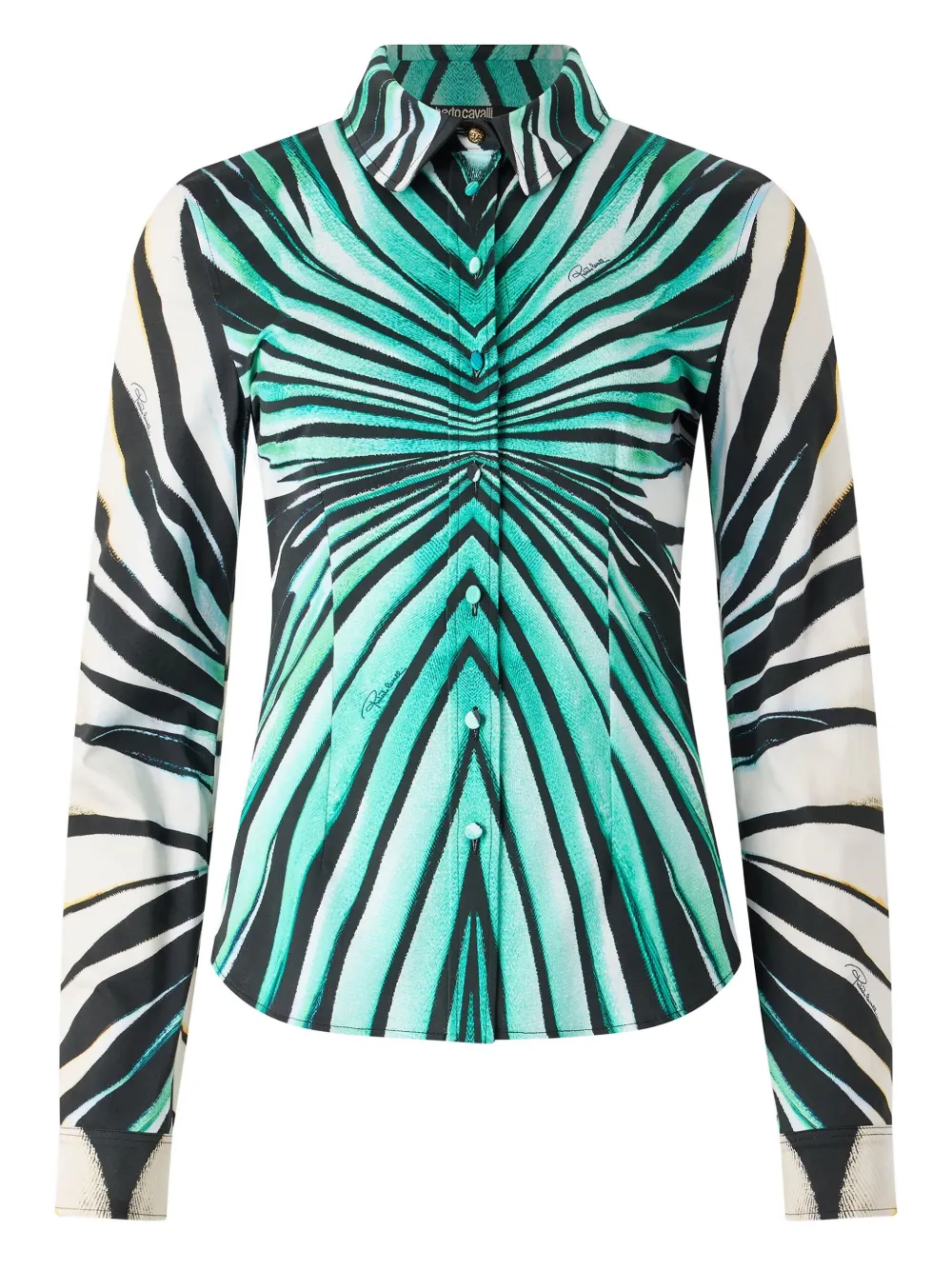 Roberto Cavalli Overhemd met print Blauw