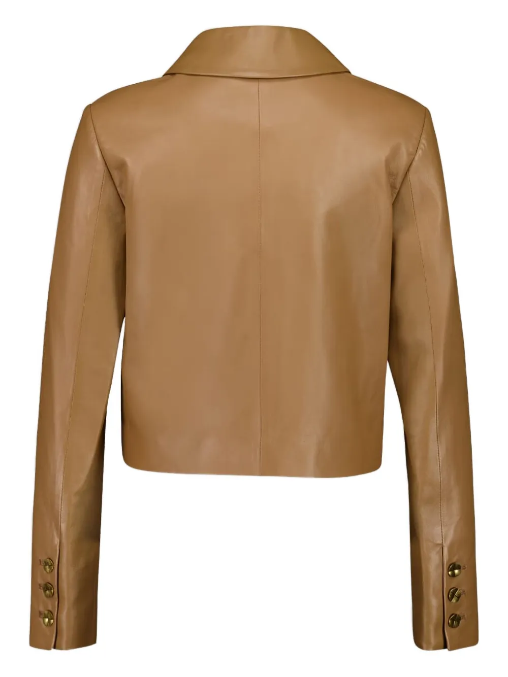 Altuzarra Buttoned Leather Jacket In Brown