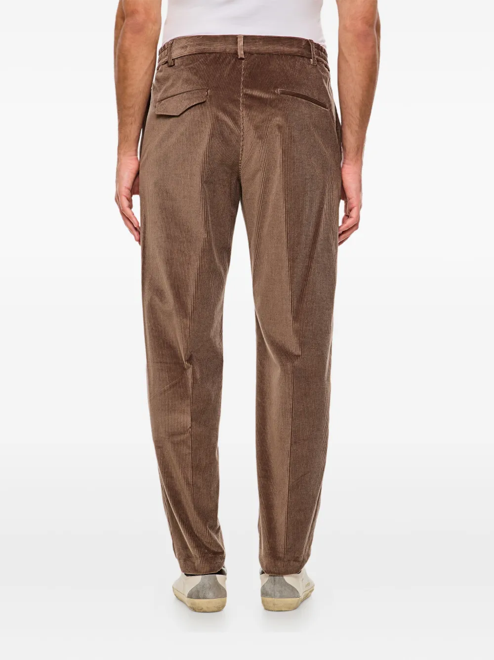 Tagliatore Ribfluwelen broek Bruin